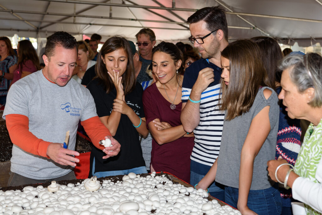 Kennett Square Mushroom Festival
