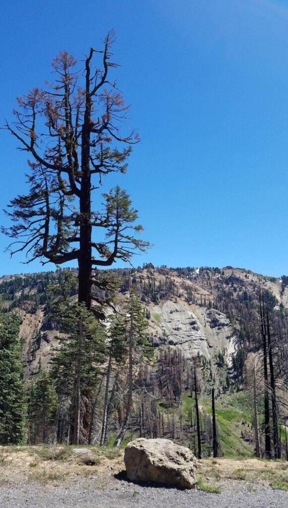 Lassen Volcanic National Park
