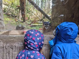 Visit zoos with this money-saving travel hack
