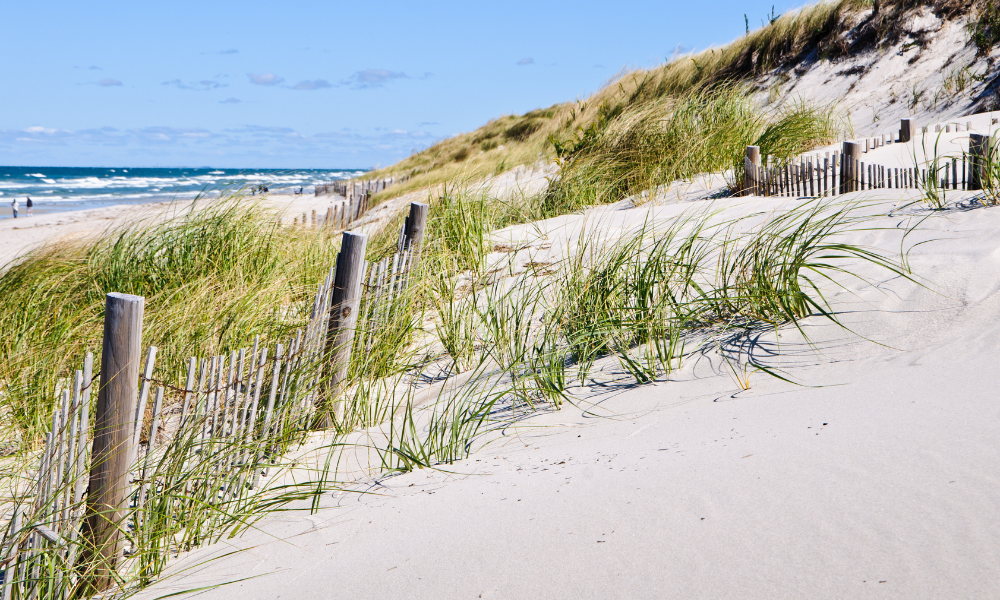 Cape Cod beach