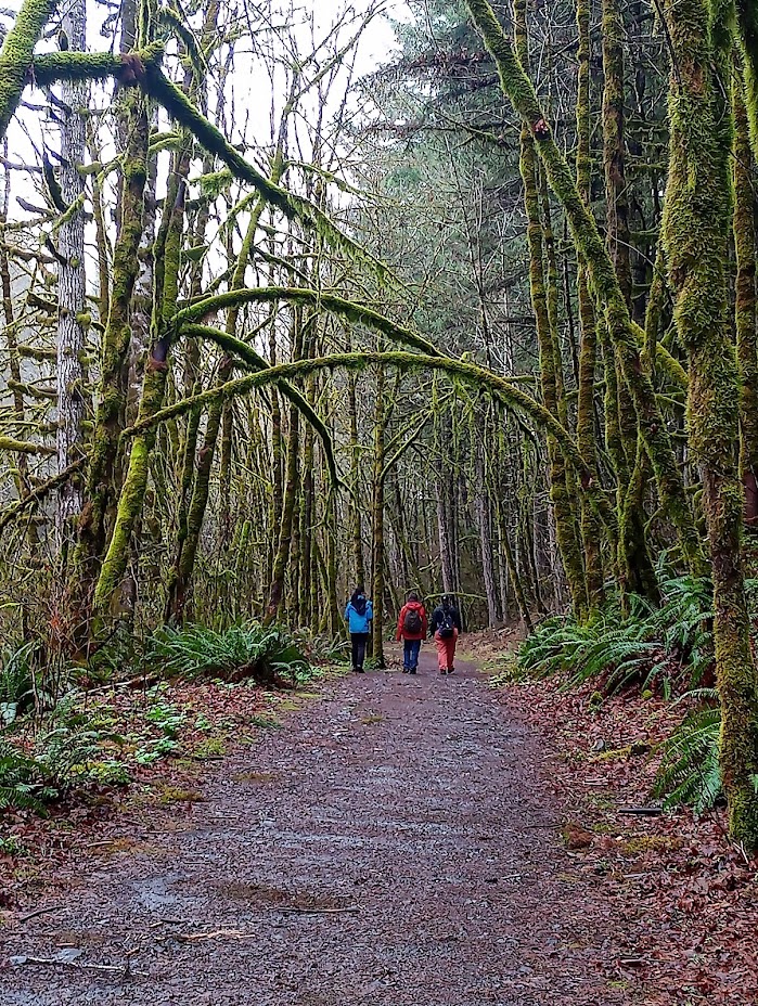Beazell Memorial Forest
