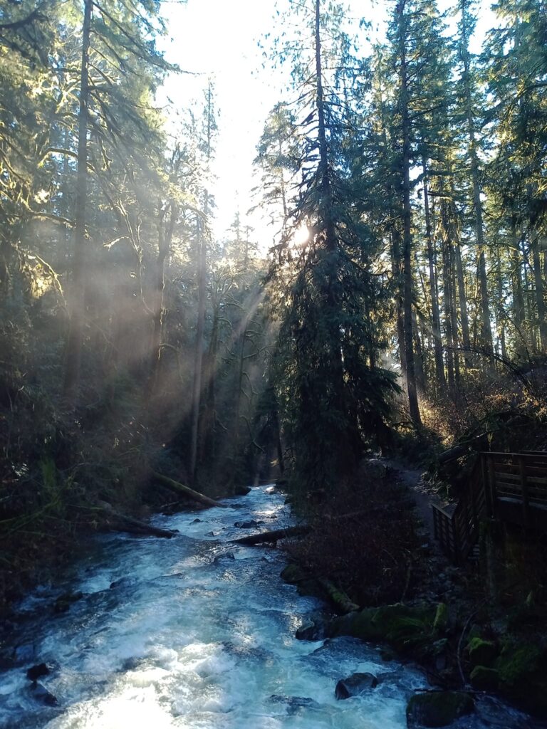 Hiking in Oregon