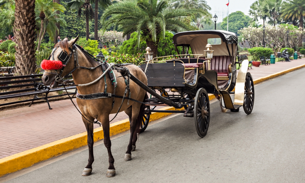 horse-drawn carriage tour