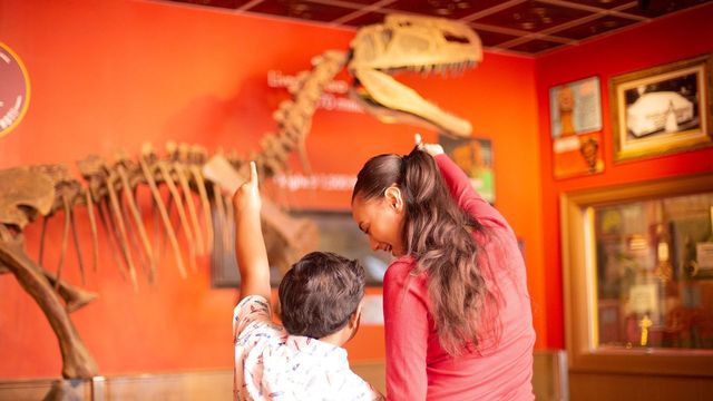 Fun Museum for Families