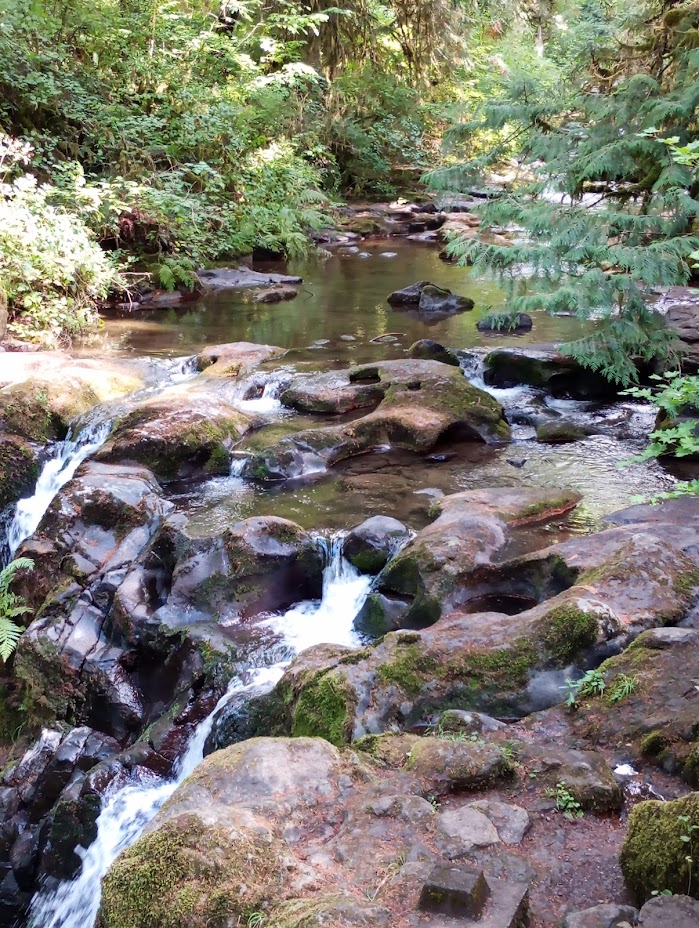 McDowell Creek Falls